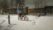 Выбор заготовки для крокодила.