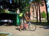 Выбор заготовки для крокодила.