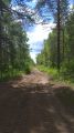 На крокодиле в ПВД: Петушки-Шатура