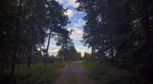 На крокодиле в ПВД: Петушки-Шатура