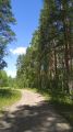 На крокодиле в ПВД: Петушки-Шатура