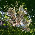На крокодиле в ПВД: Шатура-Белоомут-Коломна