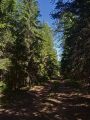На крокодиле в ПВД: Шатура-Белоомут-Коломна
