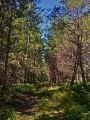 На крокодиле в ПВД: Шатура-Белоомут-Коломна