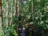 На крокодиле в ПВД: Шатура-Белоомут-Коломна