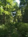 На крокодиле в ПВД: Шатура-Белоомут-Коломна