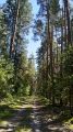 На крокодиле в ПВД: Шатура-Белоомут-Коломна