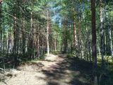 На крокодиле в ПВД: Шатура-Белоомут-Коломна