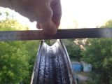 Комплектация и сборка велосипедных&nbsp; колёс.