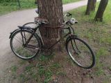 Белоостровский гараж