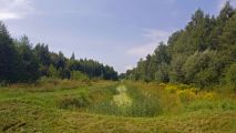 На крокодиле в ПВД: Шатура-Белоомут-Коломна