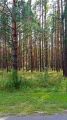 На крокодиле в ПВД: Шатура-Белоомут-Коломна