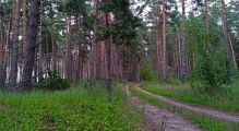 На крокодиле в ПВД: Шатура-Белоомут-Коломна